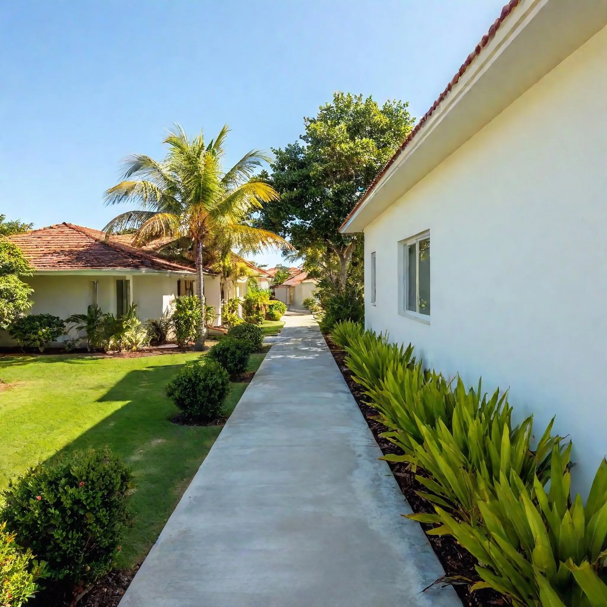 Concrete footpath running alongside a house and garden bed